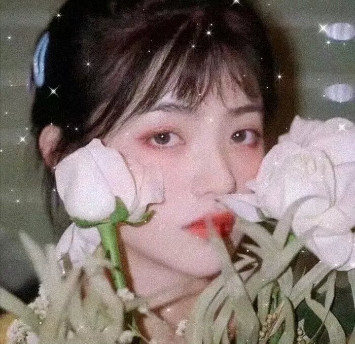 赵琳的探险日记