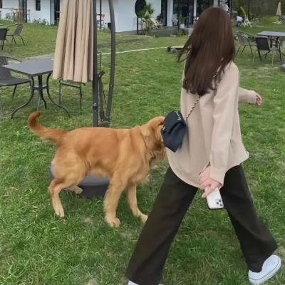 轮回派对第二季