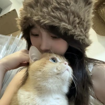 好猫咪咪
